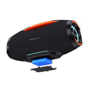 80W Portable Outdoor Speaker Bluetooth 5.3 RGB Dual Mics