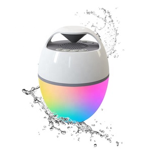 Haisound Wireless Portable Smart Speaker IP68 Waterproof
