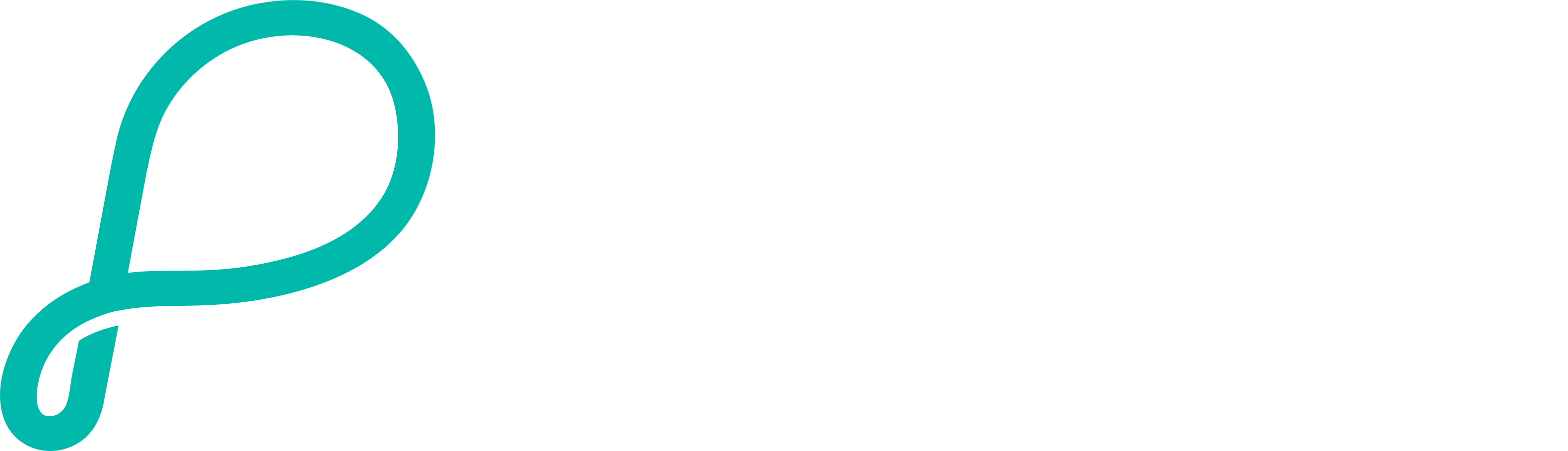 Pebble brand logo in white